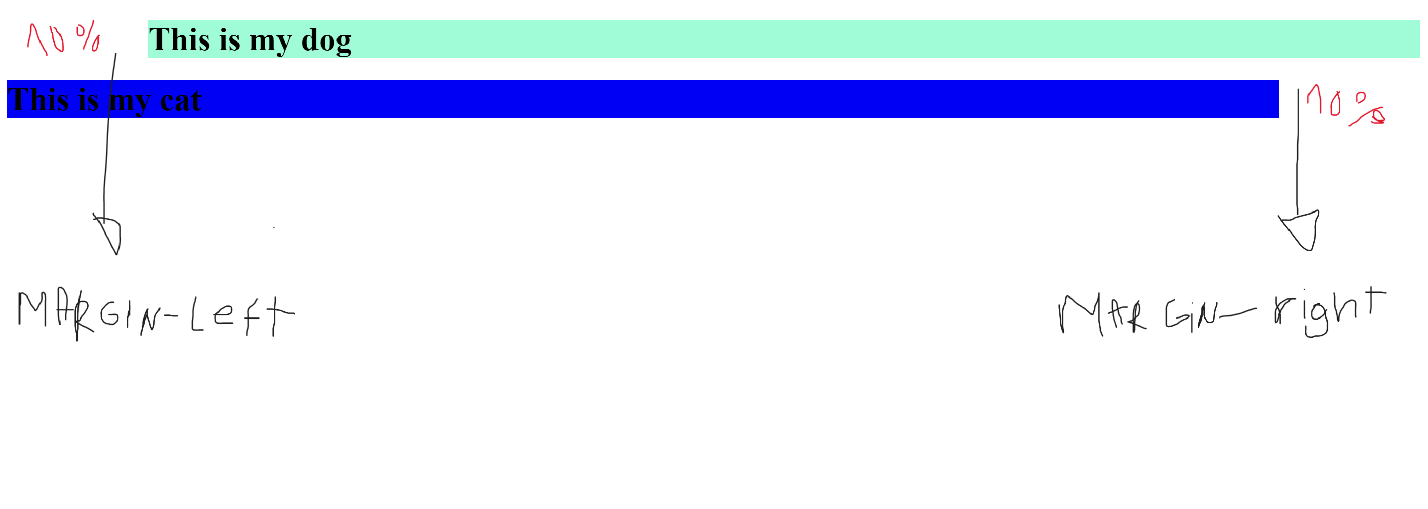 Example of how margin properties and value are applied 